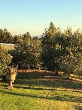 Eemnes Park Estate - Accommodation Cooktown 4