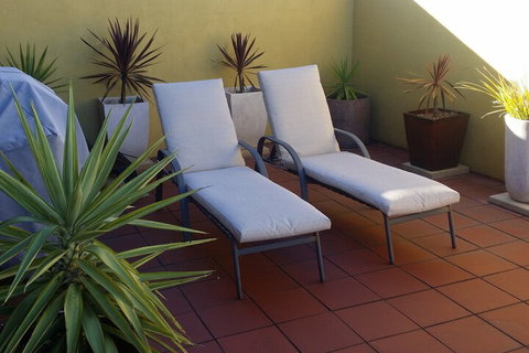 High On Penguin - Accommodation Cooktown 6