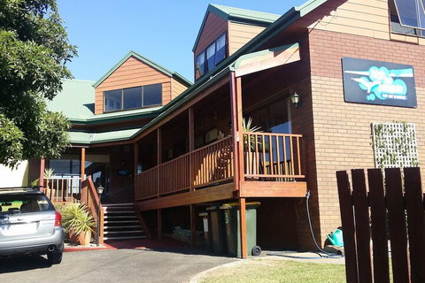 High On Penguin - Accommodation Cooktown 1