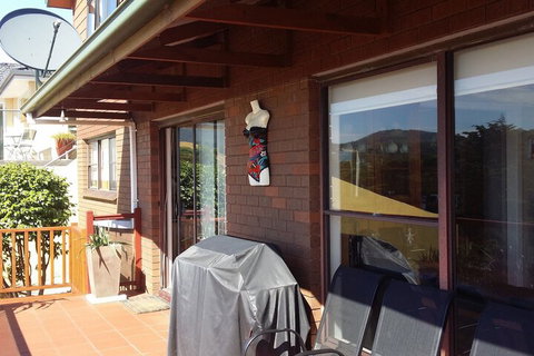 High On Penguin - Accommodation Cooktown 7