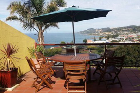 High On Penguin - Accommodation Cooktown 0