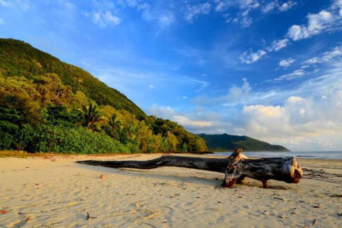 Daintree Rainforest Beach House - Accommodation Cooktown 7