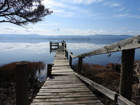 Tamar House - Accommodation Cooktown 5
