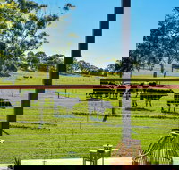 Curra Homestead Maleny