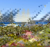 The Beachcomber 113 - Accommodation Cooktown