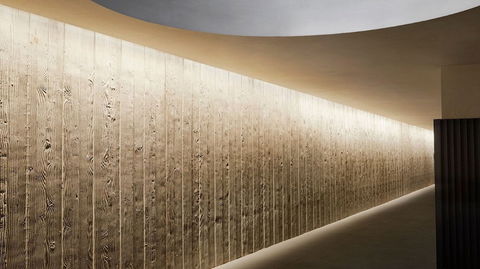 United Places Botanic Gardens - Accommodation Cooktown 3