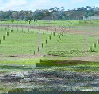Yea Woodduck Cottage - Accommodation Cooktown