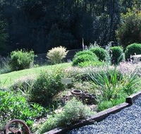 Love Grove Guest House - Accommodation Cooktown