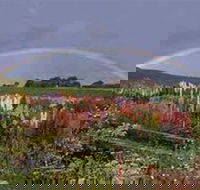 Boat Harbour Garden Cottages - Accommodation Cooktown