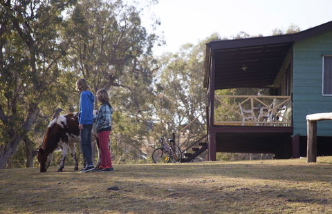 Bestbrook Mountain Resort - Accommodation Cooktown 4