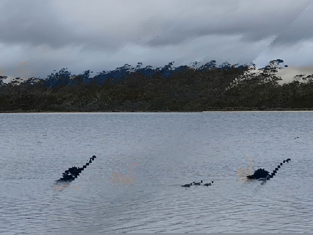  Accommodation Cooktown