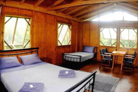 Daintree Rainforest Bungalows - Accommodation Cooktown 5