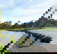 Amity Apartment Hotels - Accommodation Cooktown