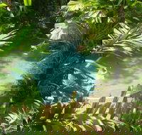 Palm Cove Tropic Apartments - Accommodation Cooktown