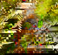 Crystal Brook Tourist Park - Accommodation Cooktown