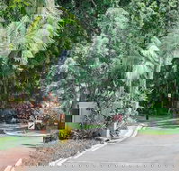 Oasis at Palm Cove - Accommodation Cooktown