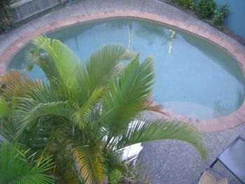 Noosa River Sandy Shores - Accommodation Cooktown 4