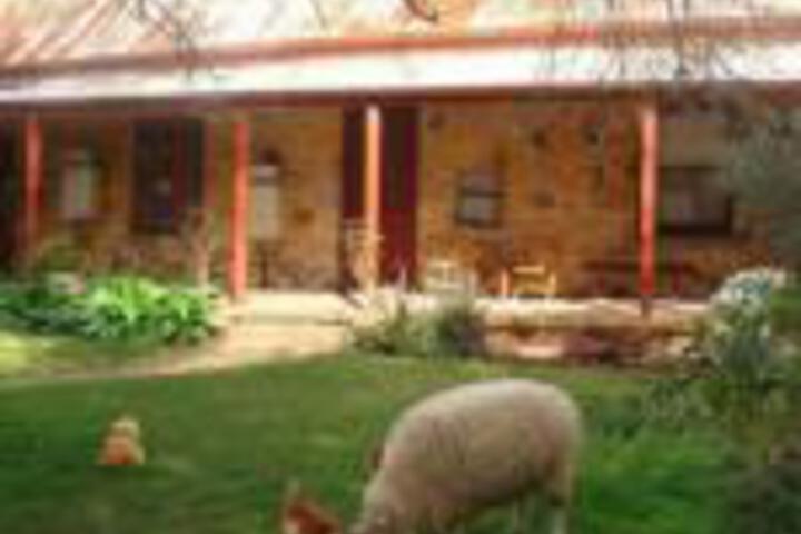 Mount Barker Springs SA Accommodation Cooktown