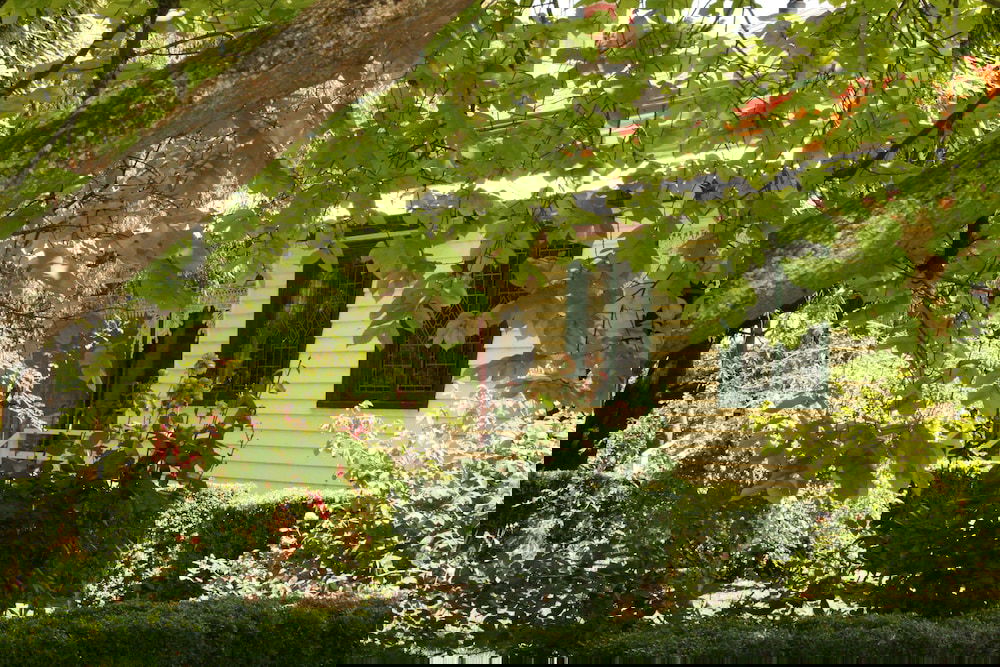  Accommodation Cooktown