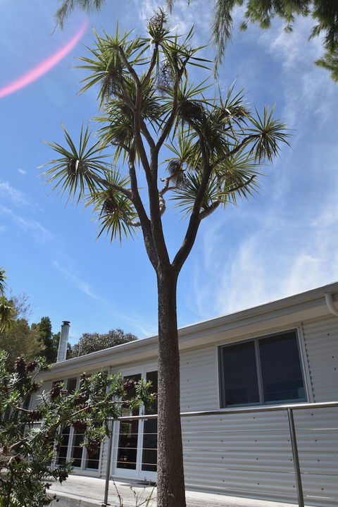 Freycinet Sanctuary At Oyster Bay - Accommodation Cooktown 0
