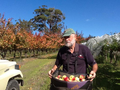 Eureka Farm - Accommodation Cooktown 1
