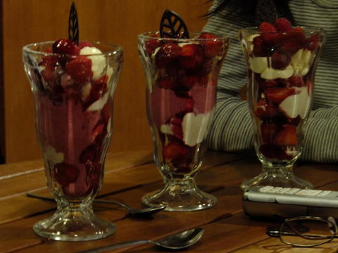 Eureka Farm - Accommodation Cooktown 5