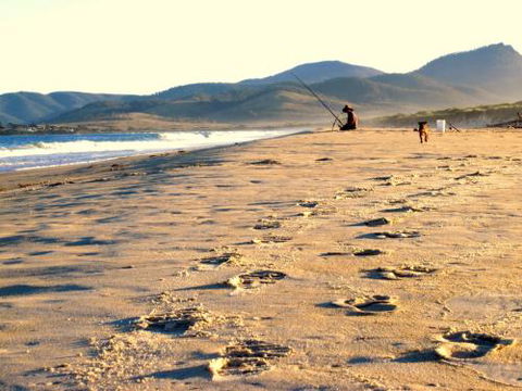 Eureka Farm - Accommodation Cooktown 4