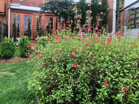 The Shopkeepers Quarters - Accommodation Cooktown 6