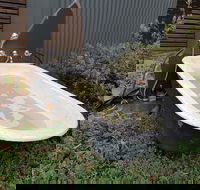 William Hunts Retreat Cypress Studio - Accommodation Cooktown