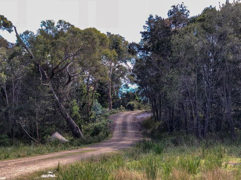 BAY Of FIRES ECO HUT Off Grid Experience At Binalong Bay - Accommodation Cooktown 3