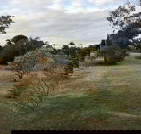 Young Budget Accommodation - Accommodation Cooktown