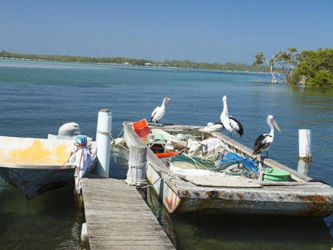 Fairholme 12 - Accommodation Cooktown 6