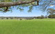 Paperbark Cottage Mowbray Park Farm - thumb 0