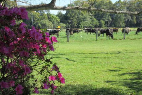 Greenfields - Accommodation Cooktown 2