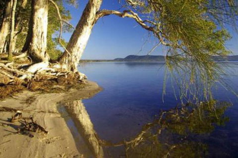 Mimosa - Accommodation Cooktown 1