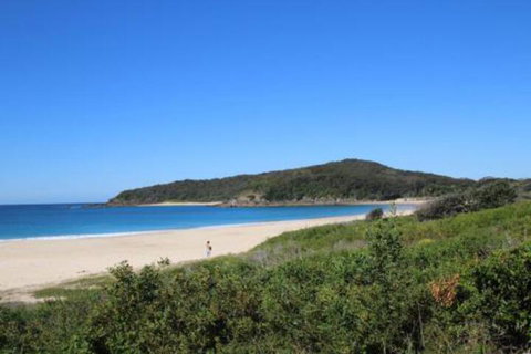 Mimosa - Accommodation Cooktown 4