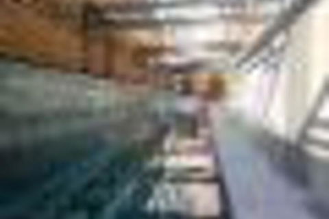 Amazing Lake View Apartment AtAlber Park  - Accommodation Cooktown 6