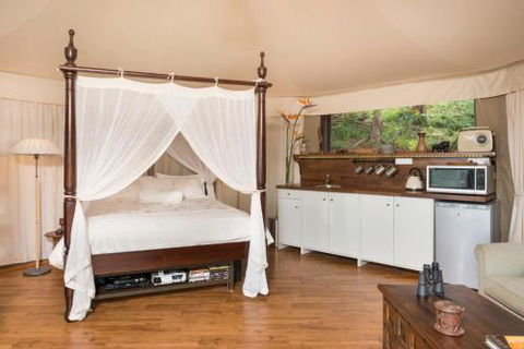 Clouds Safari - Accommodation Cooktown 4