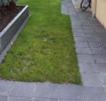 unit2B - Accommodation Cooktown