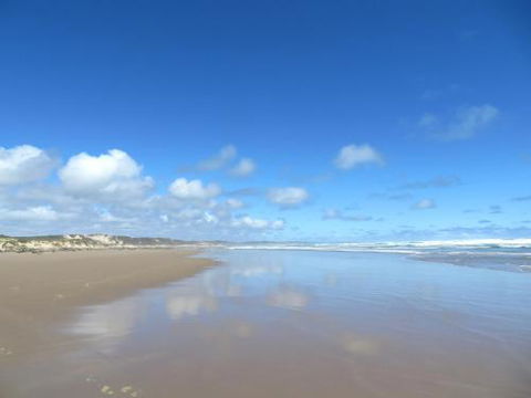 Arthur Riverfront & Sea Lodge Downstream - Accommodation Cooktown 0