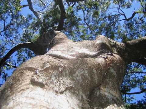 Arthur Riverfront & Sea Lodge Downstream - Accommodation Cooktown 4