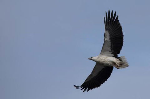 Arthur Riverfront & Sea Lodge Downstream - Accommodation Cooktown 6