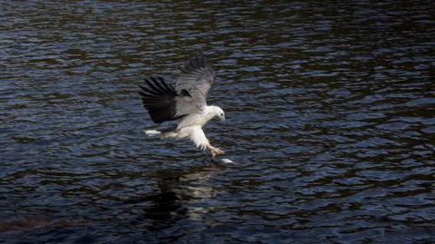 Arthur Riverfront & Sea Lodge Downstream - Accommodation Cooktown 3