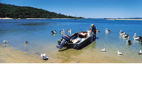 Coral Suite In Resort Complex - Accommodation Cooktown 4