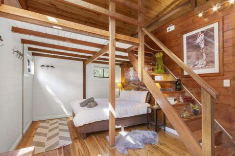 BLUE APPLE LODGE - Accommodation Cooktown 4