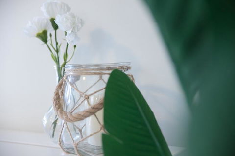 Luxury Home NoosavilleWIFINetflixLocationShops - Accommodation Cooktown 6