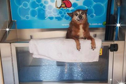 Apex RiverBeach Holiday Park - Accommodation Cooktown 4