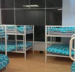 Wombat Backpackers - Accommodation Cooktown