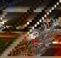 Hidden Valley Forest Retreat - Accommodation Cooktown