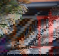 Pagoda Resort  Spa - Accommodation Cooktown